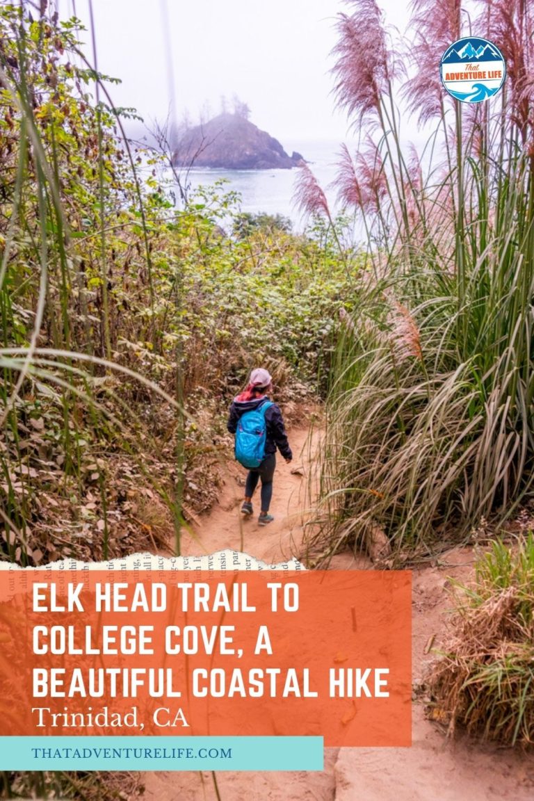 Elk Head Trail to College Cove, a Beautiful Coastal Hike in Trinidad, CA Pin 3