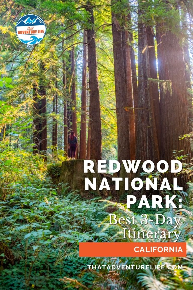 How to Visit Redwood National Park: Best 3-Day Itinerary Pin 1