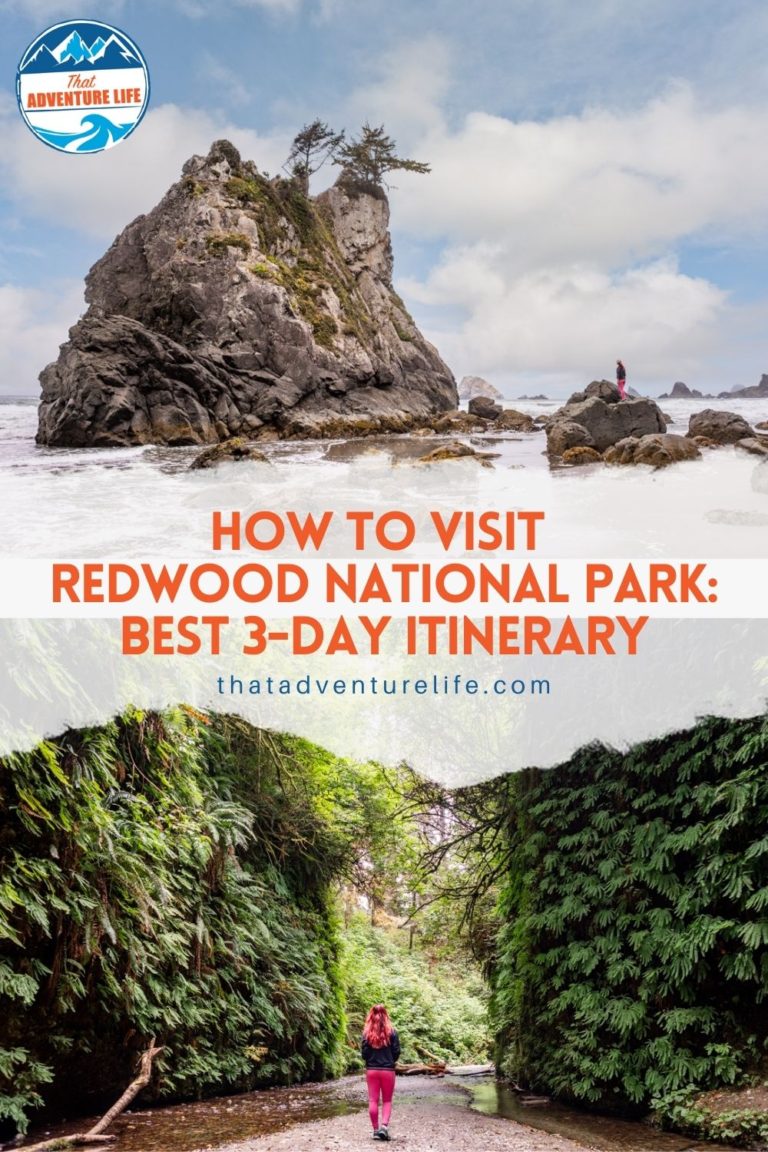 How to Visit Redwood National Park: Best 3-Day Itinerary Pin 2