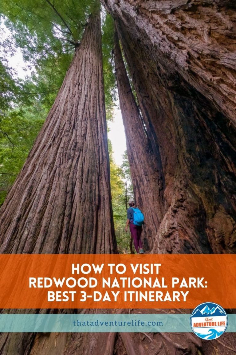 How to Visit Redwood National Park: Best 3-Day Itinerary Pin 3
