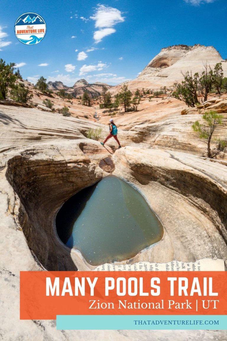 Many Pools Trail - a Hidden Gem in Zion National Park Pin 1