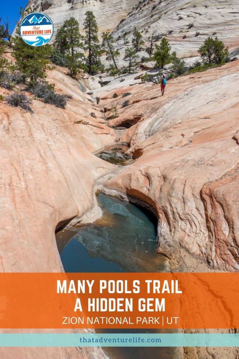 Many Pools Trail - a Hidden Gem in Zion National Park Pin 2