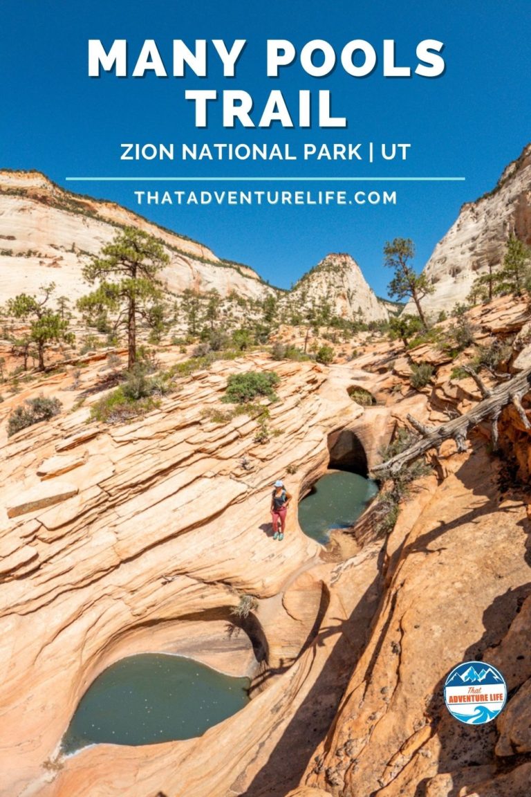 Many Pools Trail - a Hidden Gem in Zion National Park Pin 3
