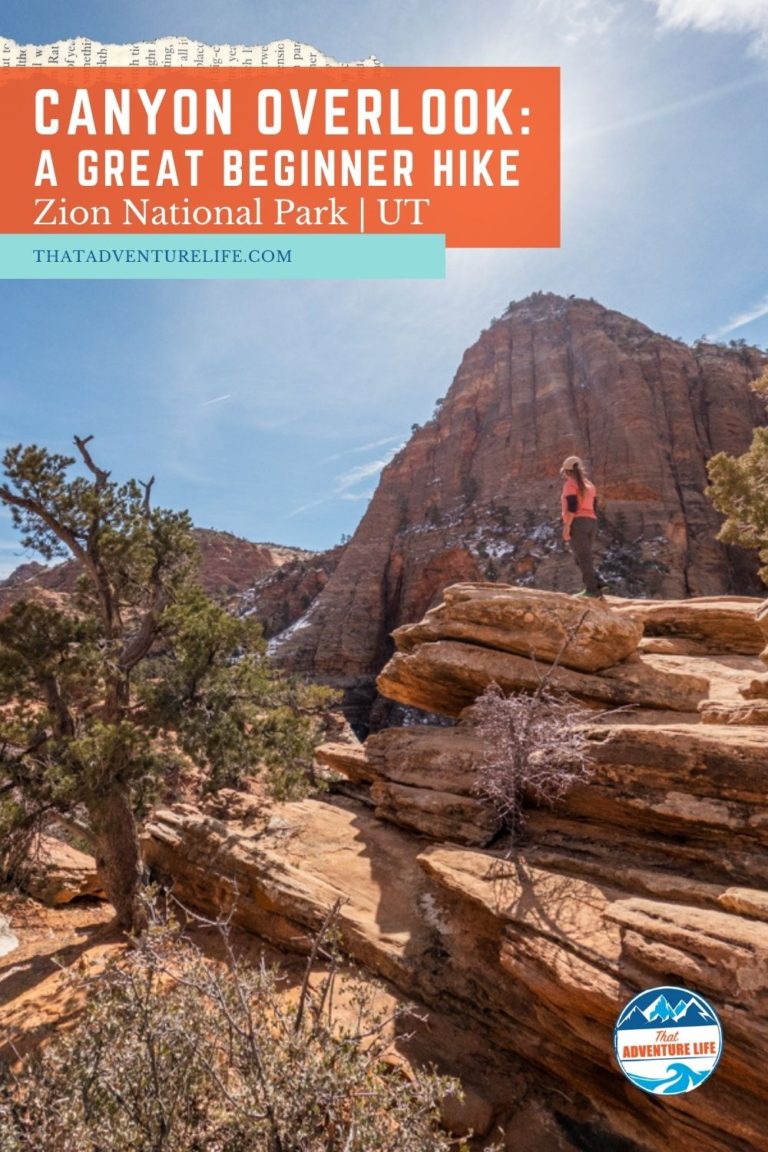 Canyon Overlook Trail - A Great Beginner Hike in Zion National Park Pin 1