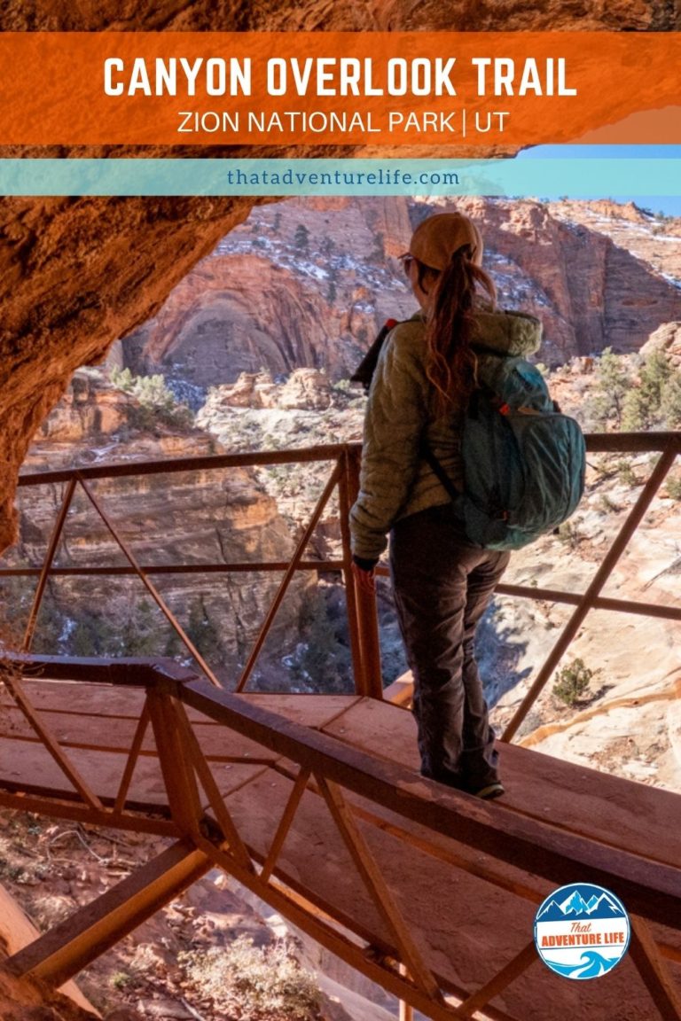 Canyon Overlook Trail - A Great Beginner Hike in Zion National Park Pin 2