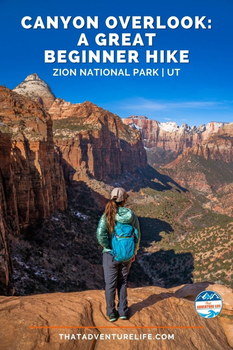 Canyon Overlook Trail - A Great Beginner Hike in Zion National Park Pin 3