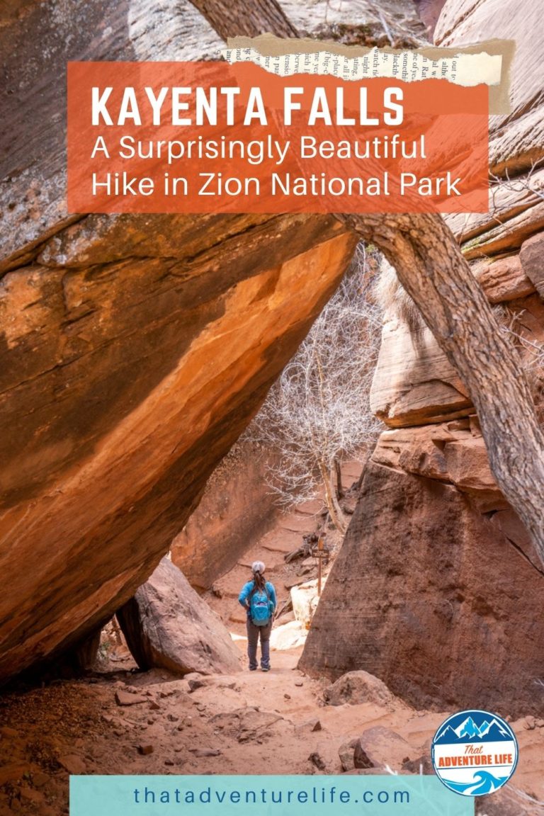 Kayenta Trail - A Surprisingly Beautiful Hike in Zion National Park Pin 1
