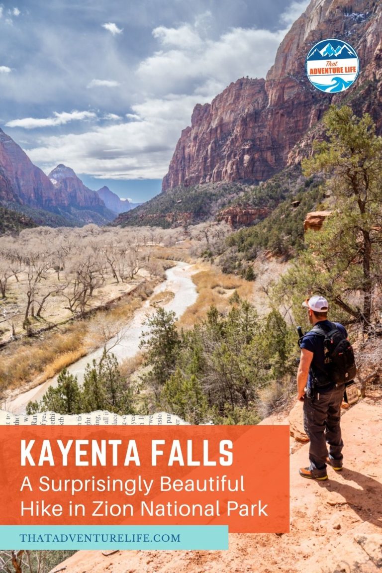 Kayenta Trail - A Surprisingly Beautiful Hike in Zion National Park Pin 2