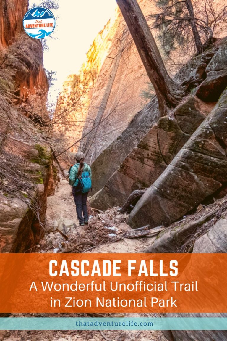 Cascade Falls - A Wonderful Unofficial Trail in Zion National Park Pin 2Cascade Falls - A Wonderful Unofficial Trail in Zion National Park Pin 2