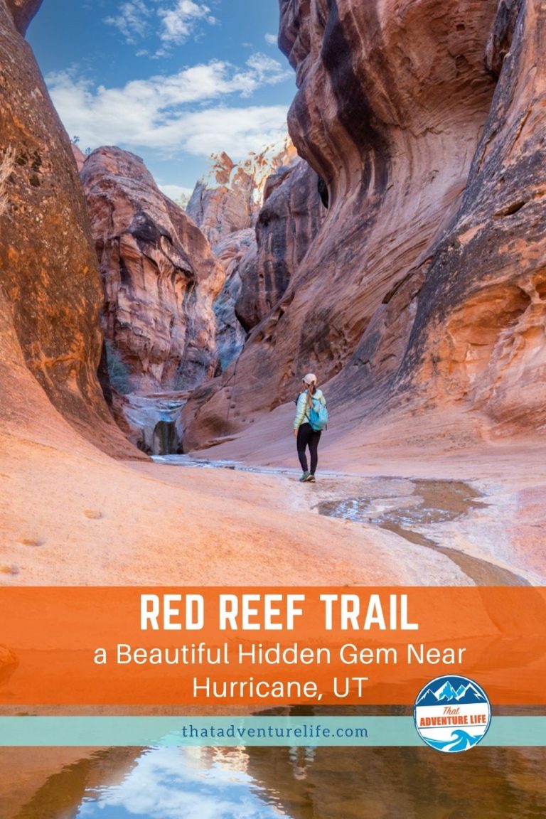 Red Reef Trail, a Beautiful Hidden Gem Near Hurricane, UT Pin 2