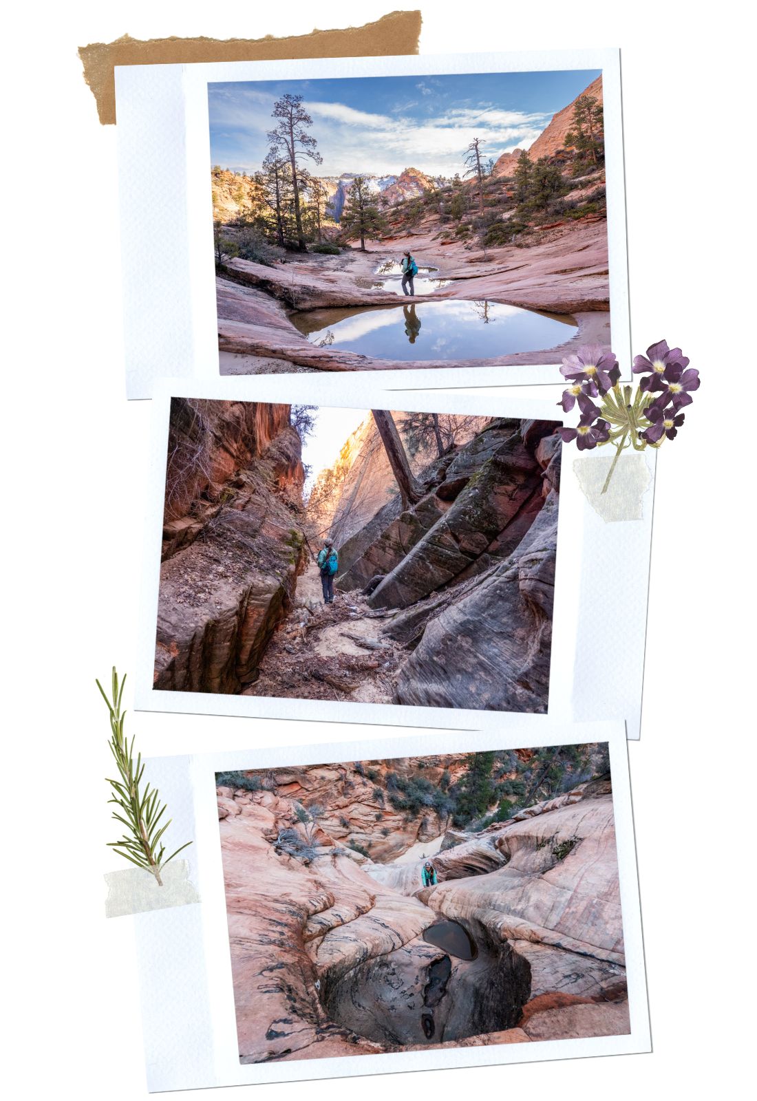 Cascade Falls - 4 Unofficial Hikes in Zion National Park