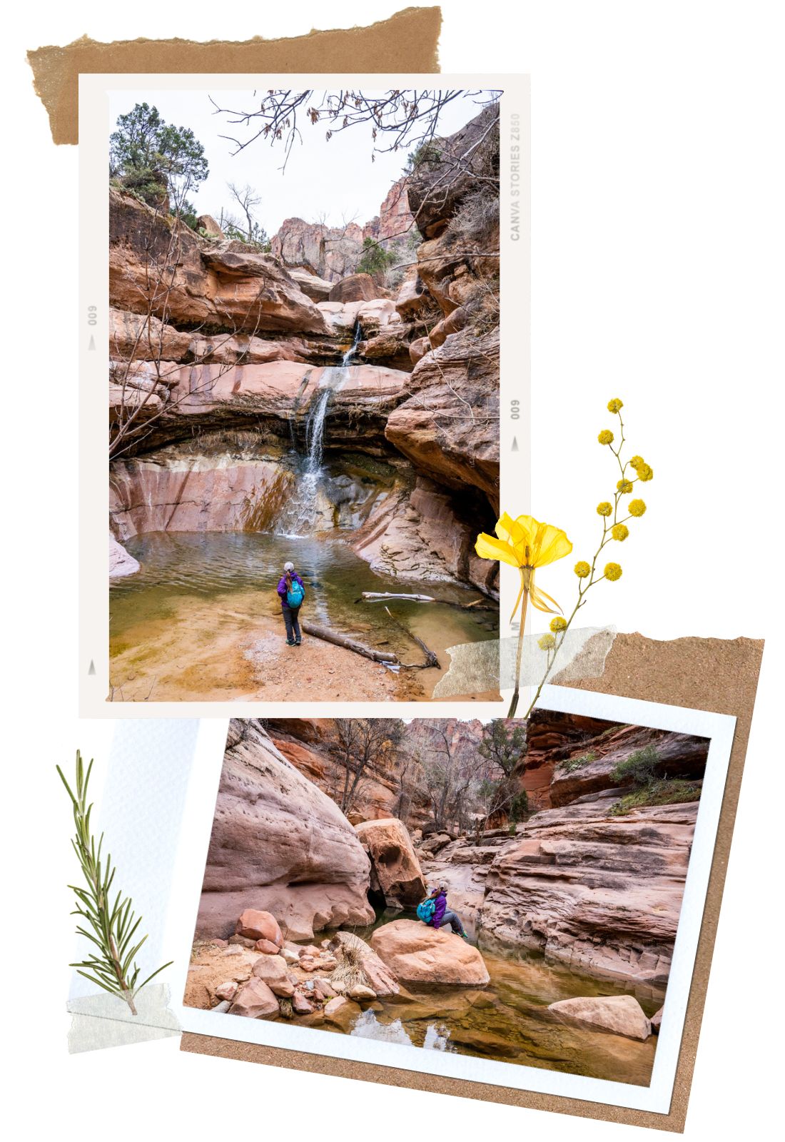 Lower Pine Creek Falls - 4 Unofficial Hikes in Zion National Park