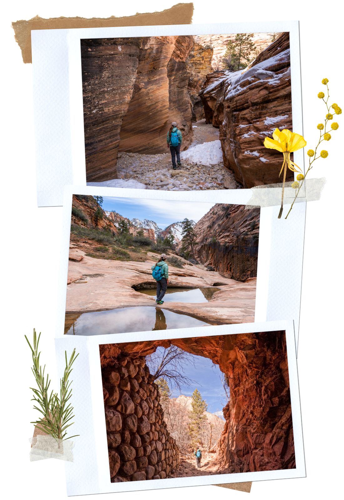 Many Pools Neighbor - 4 Unofficial Hikes in Zion National Park