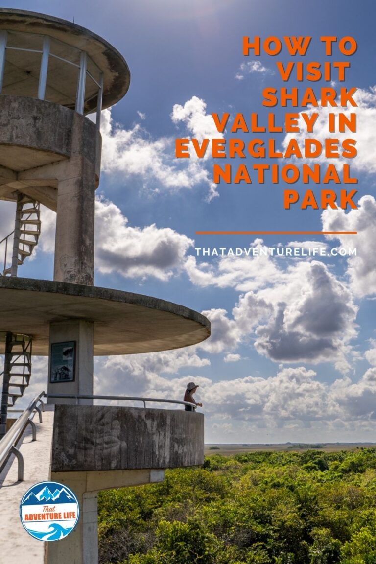 How to Visit Shark Valley in Everglades National Park Pin 1