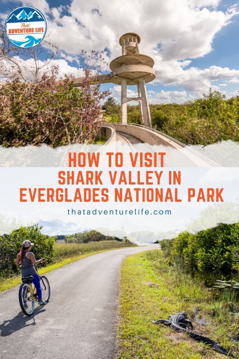 How to Visit Shark Valley in Everglades National Park Pin 3
