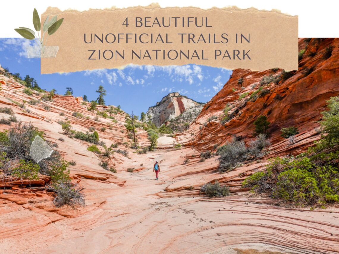 4 Beautiful Unofficial Trails in Zion National Park
