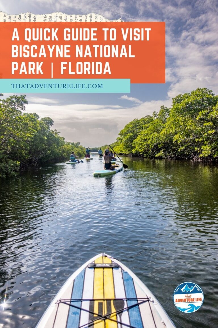 A Quick Guide to Visit Biscayne National Park | Florida Pin 1