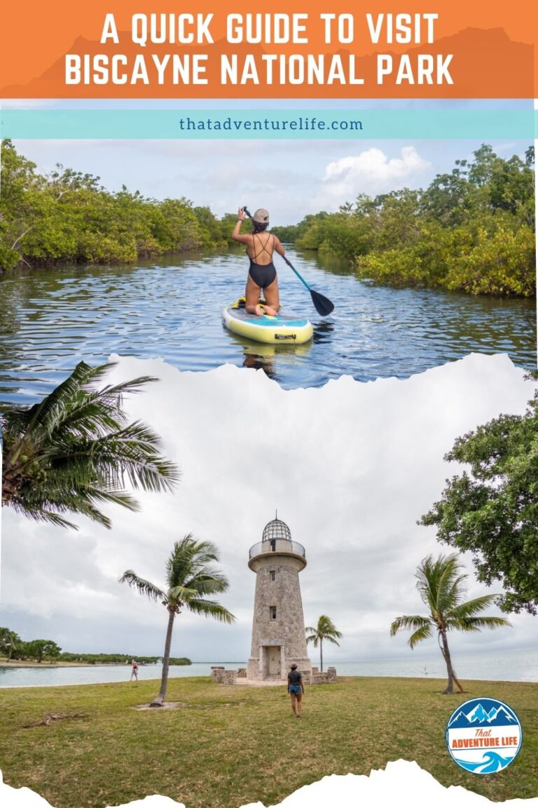 A Quick Guide to Visit Biscayne National Park | Florida Pin 2