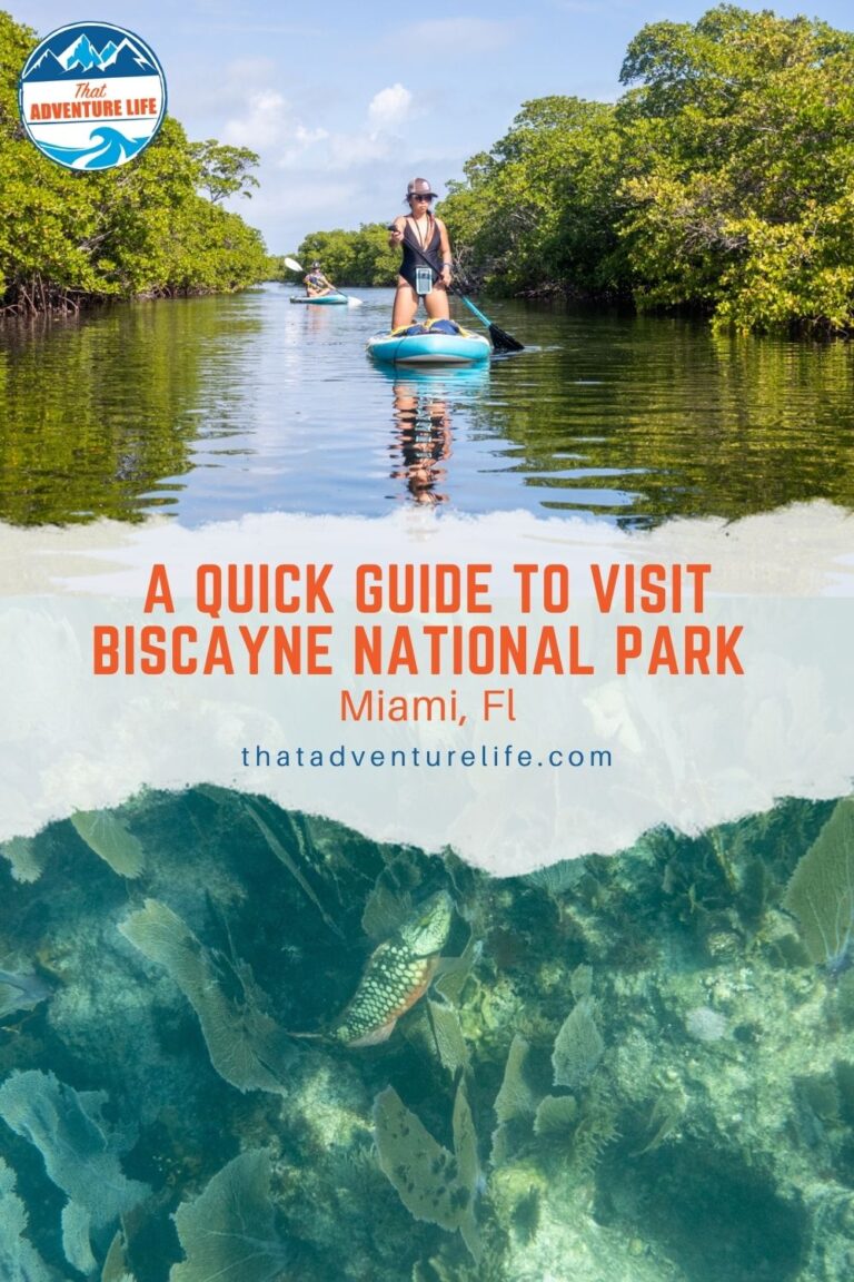 A Quick Guide to Visit Biscayne National Park | Florida Pin 3