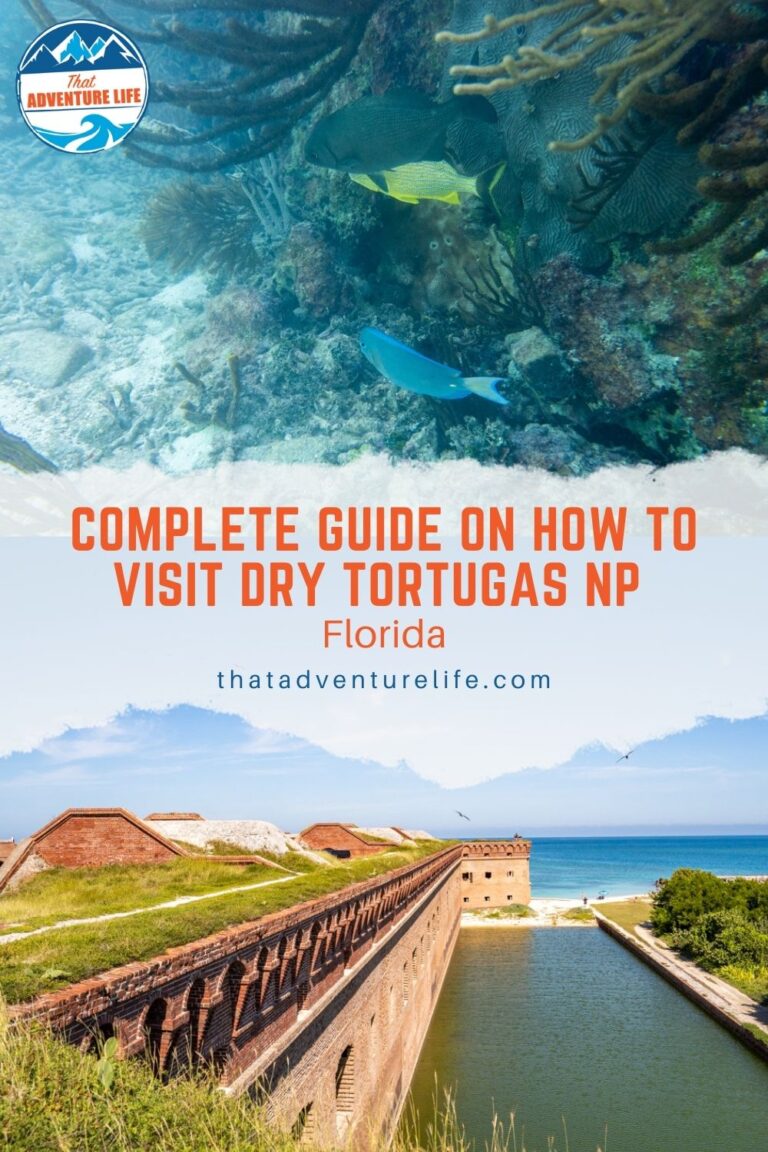 Complete Guide on How to Visit Dry Tortugas NP | Florida Pin 3