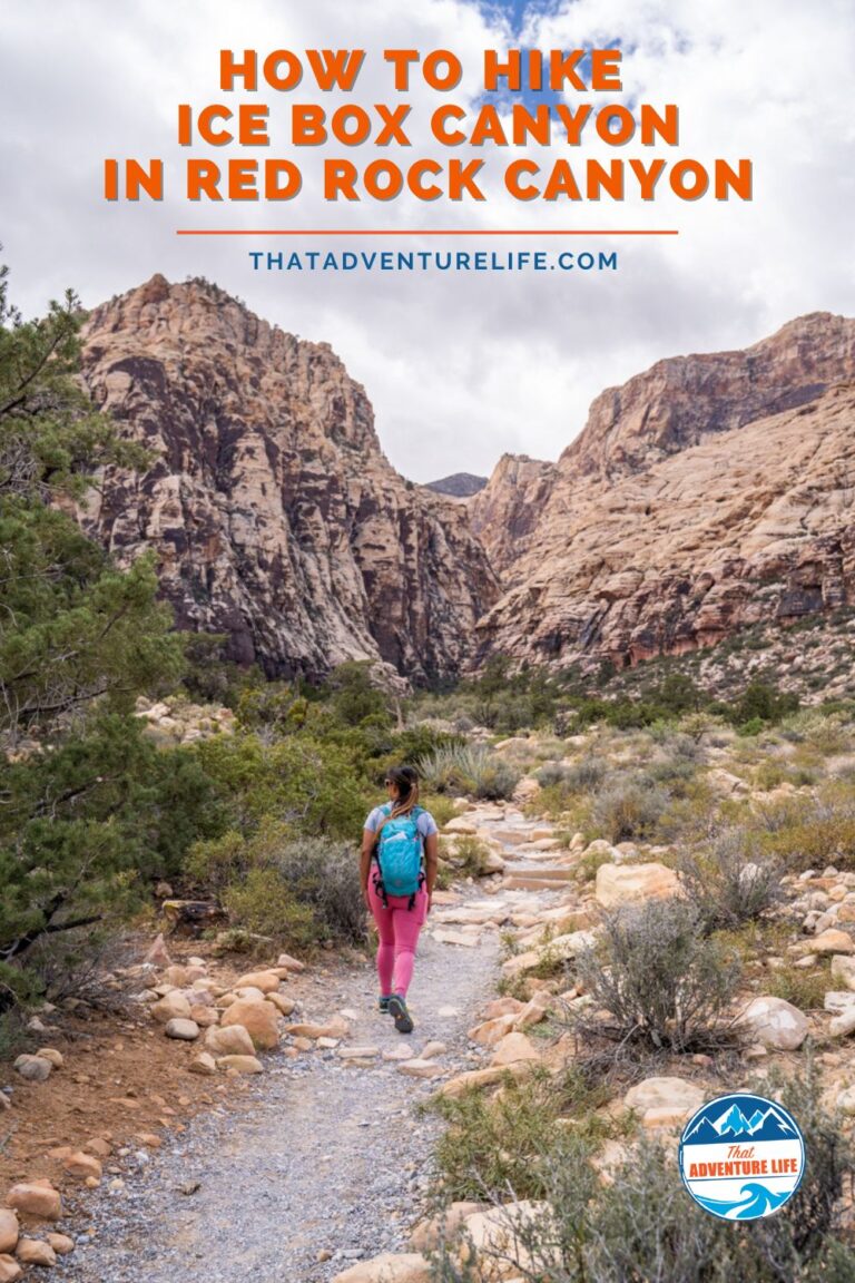 How to Hike Ice Box Canyon in Red Rock Canyon | NV Pin 1