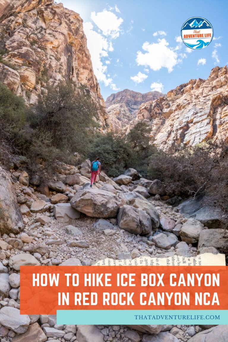 How to Hike Ice Box Canyon in Red Rock Canyon | NV Pin 2