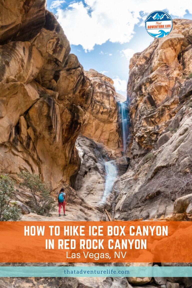 How to Hike Ice Box Canyon in Red Rock Canyon | NV Pin 3