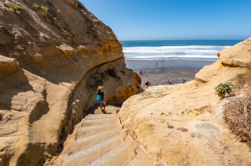 A Complete Guide to Visit Torrey Pines State Reserve | La Jolla, CA