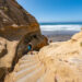 A Complete Guide to Visit Torrey Pines State Reserve | La Jolla, CA