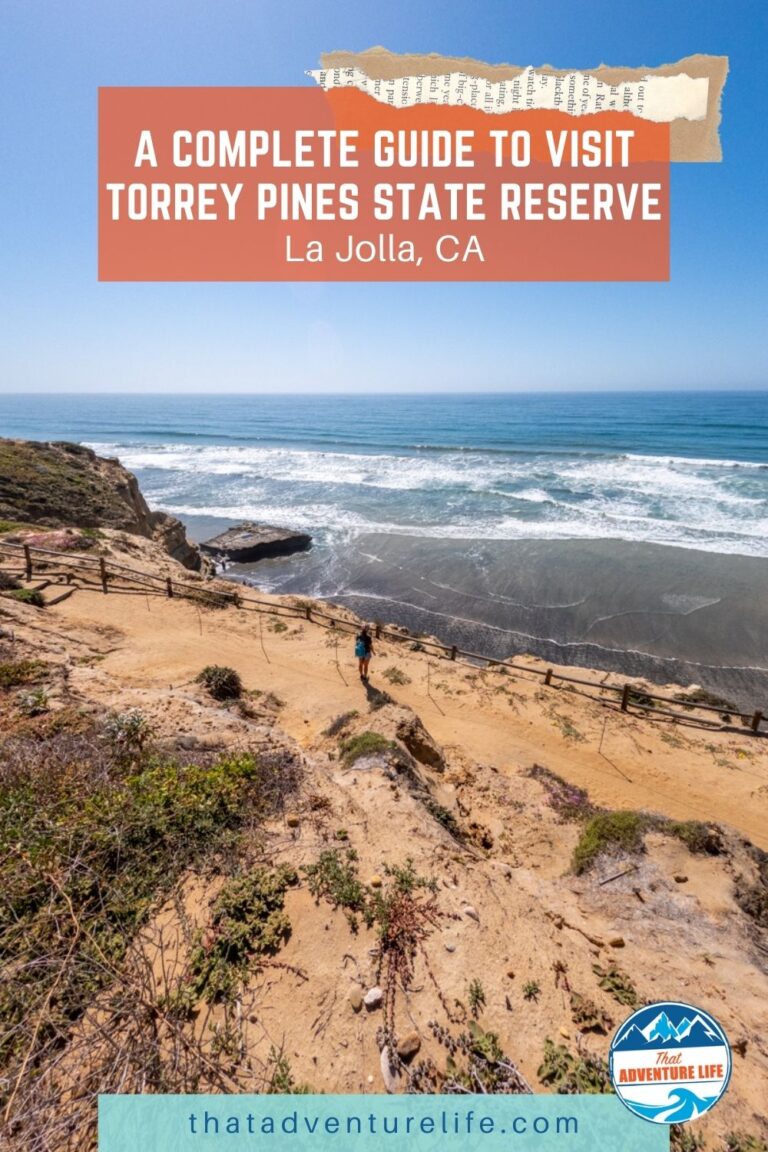 A Complete Guide to Visit Torrey Pines State Reserve | La Jolla, CA Pin 1