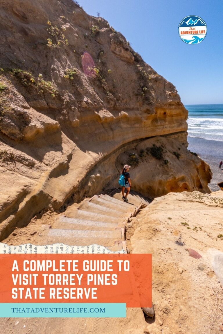 A Complete Guide to Visit Torrey Pines State Reserve | La Jolla, CA Pin 2