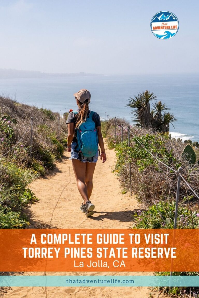 A Complete Guide to Visit Torrey Pines State Reserve | La Jolla, CA Pin 3