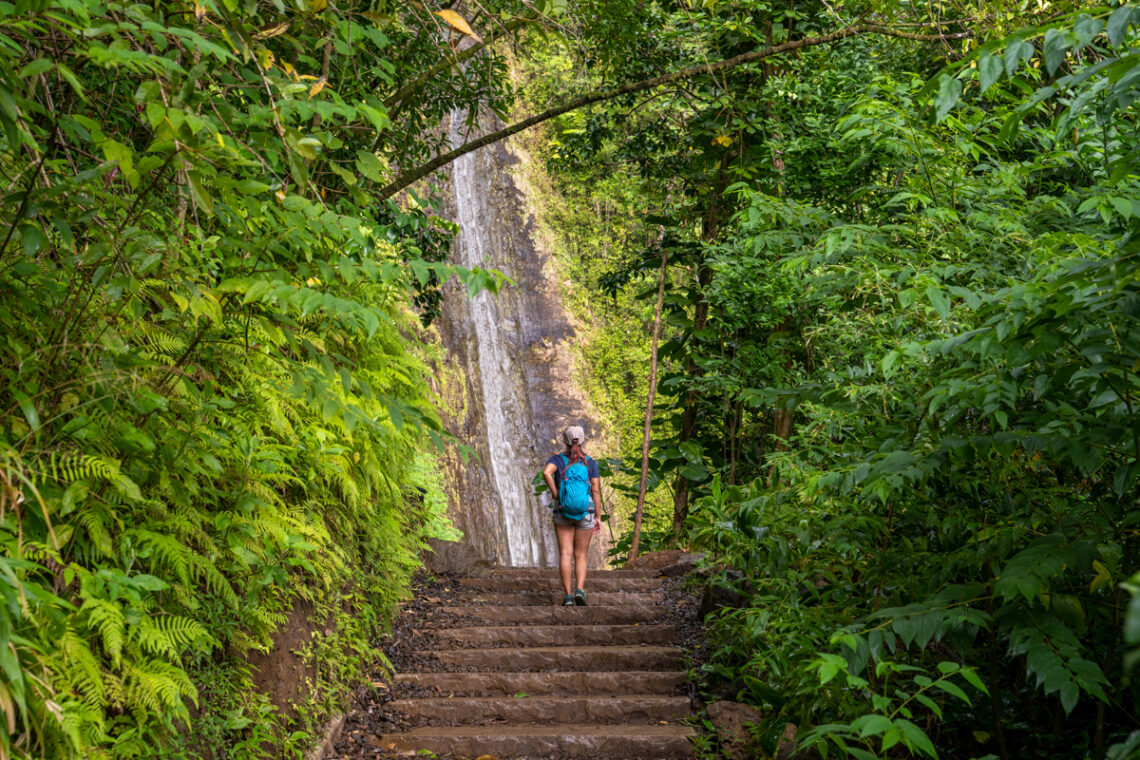 A Quick Guide on Hiking Manoa Falls in Oahu, HI
