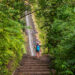 A Quick Guide on Hiking Manoa Falls in Oahu, HI