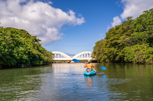 Kayaking Anahulu River: Popular Thing to Do on North Shore Oahu