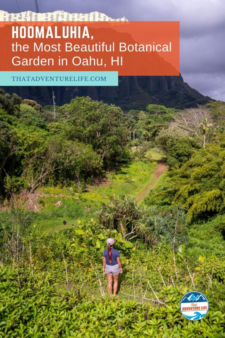 Hoomaluhia, the Most Beautiful Botanical Garden in Oahu, HI Pin 1
