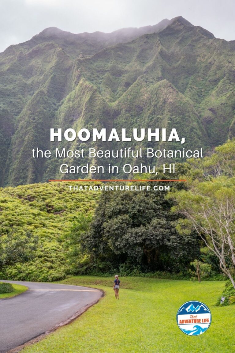 Hoomaluhia, the Most Beautiful Botanical Garden in Oahu, HI Pin 2