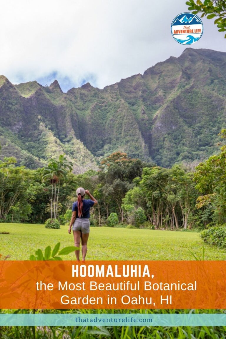 Hoomaluhia, the Most Beautiful Botanical Garden in Oahu, HI Pin 3