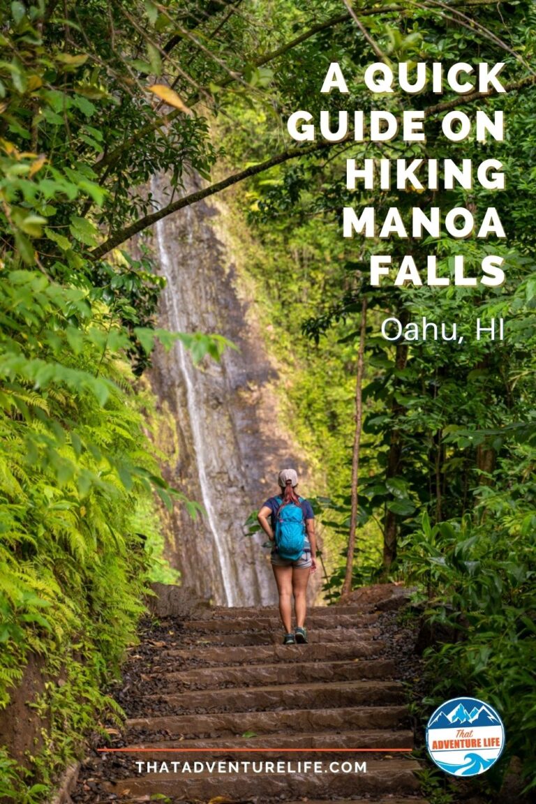 A Quick Guide on Hiking Manoa Falls in Oahu, HI Pin 1
