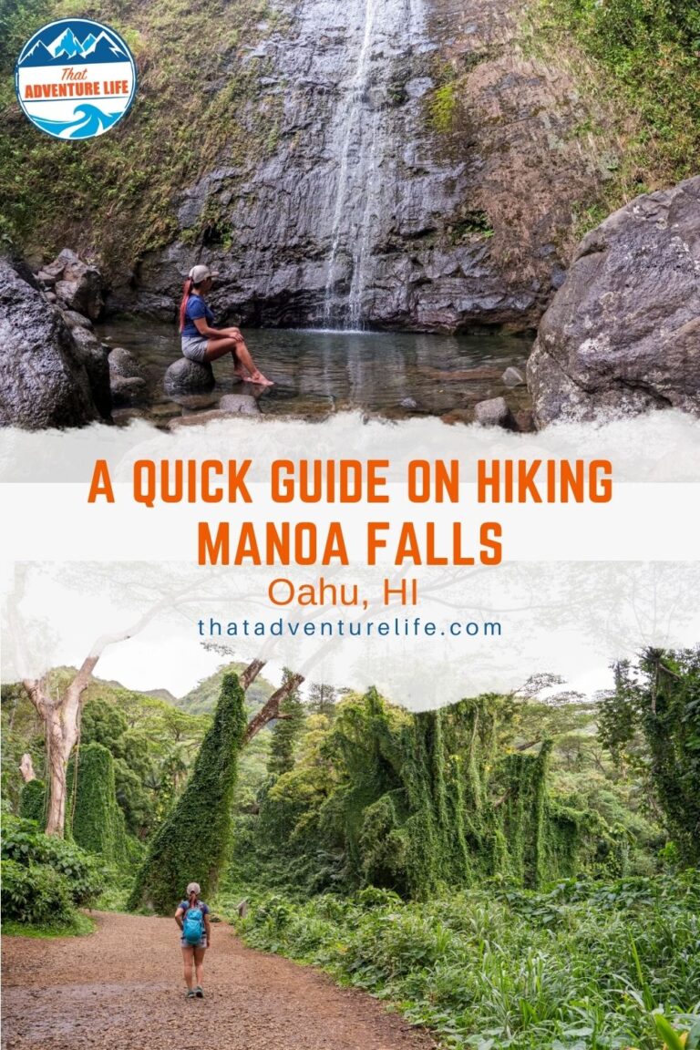A Quick Guide on Hiking Manoa Falls in Oahu, HI Pin 2