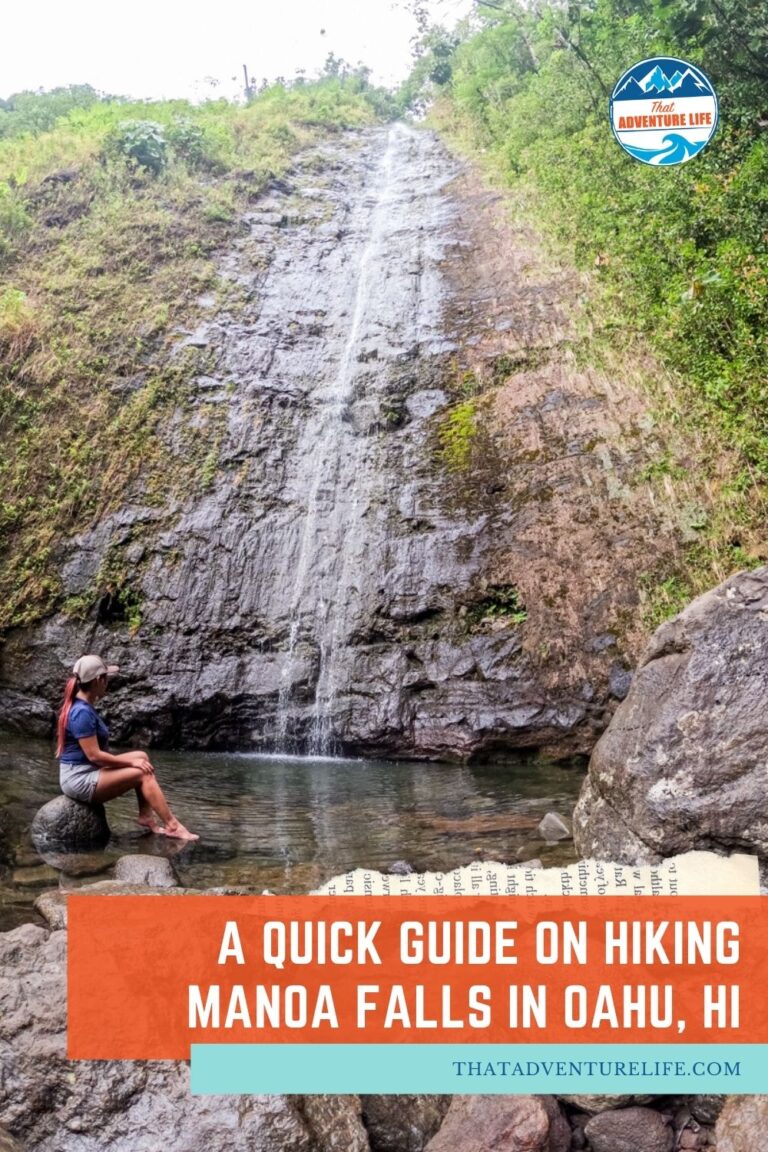A Quick Guide on Hiking Manoa Falls in Oahu, HI Pin 3