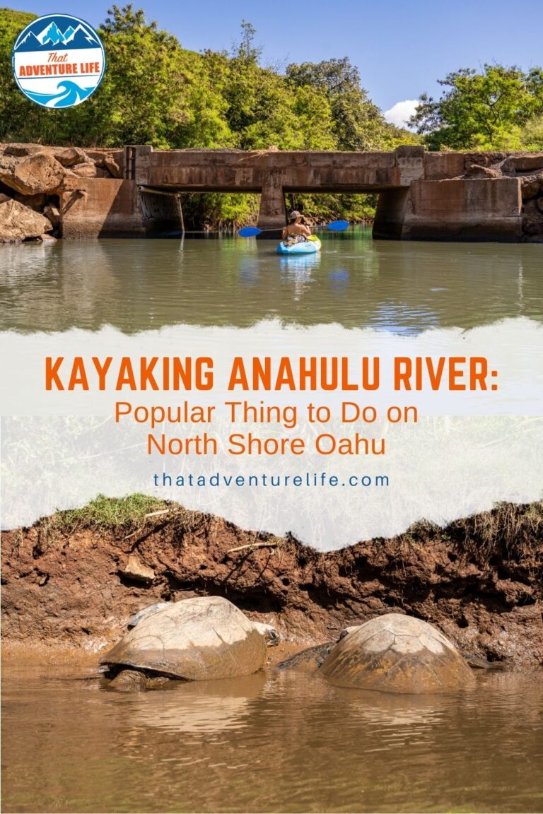 Kayaking Anahulu River: Popular Thing to Do on North Shore Oahu Pin 3