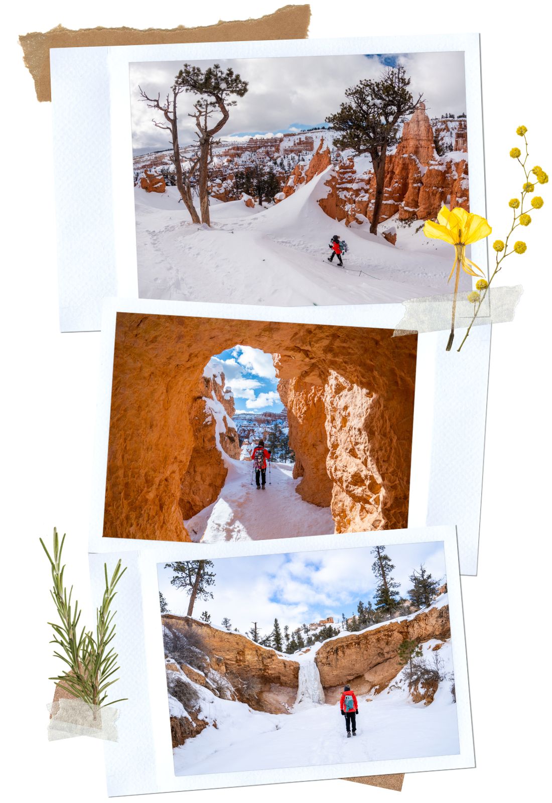 Hiking - Why You Must Visit Bryce Canyon NP in the Winter: Complete Guide