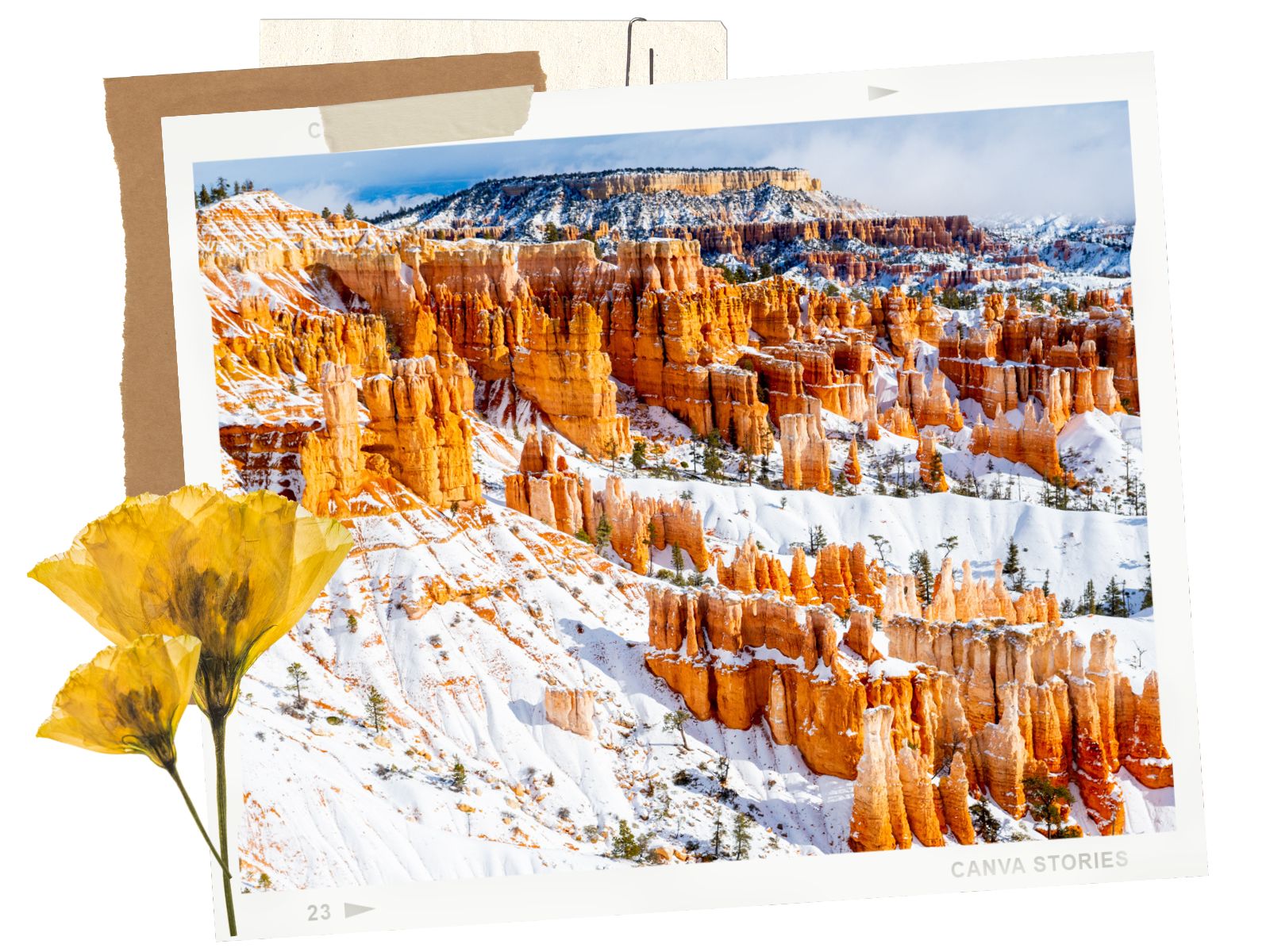 How Long should i stay - Why You Must Visit Bryce Canyon NP in the Winter: Complete Guide