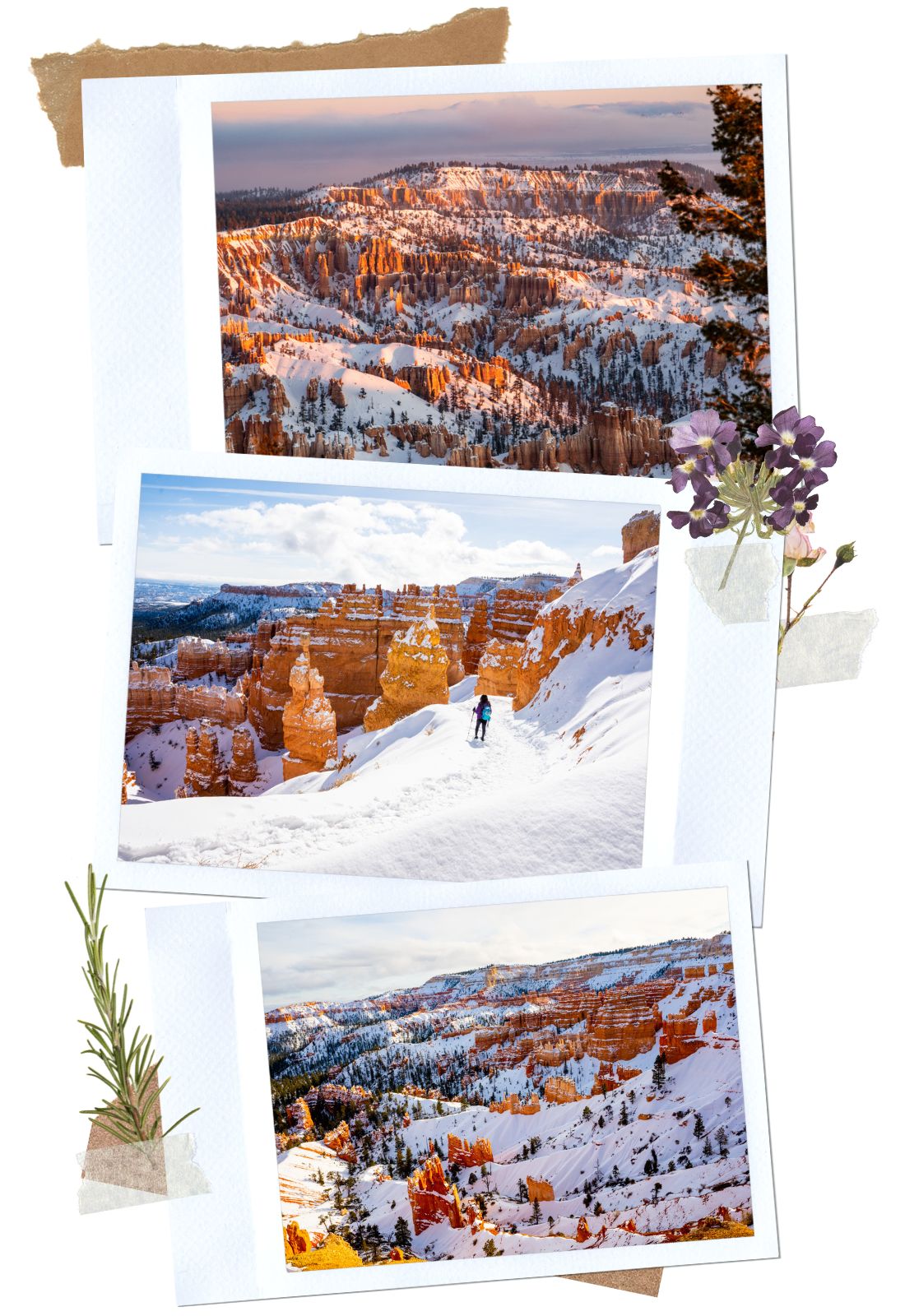 Scenic Drive - Why You Must Visit Bryce Canyon NP in the Winter: Complete Guide