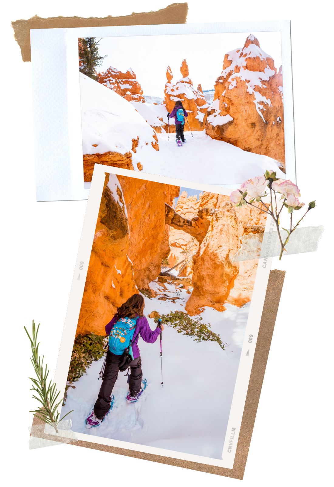 Snowshoeing - Why You Must Visit Bryce Canyon NP in the Winter: Complete Guide