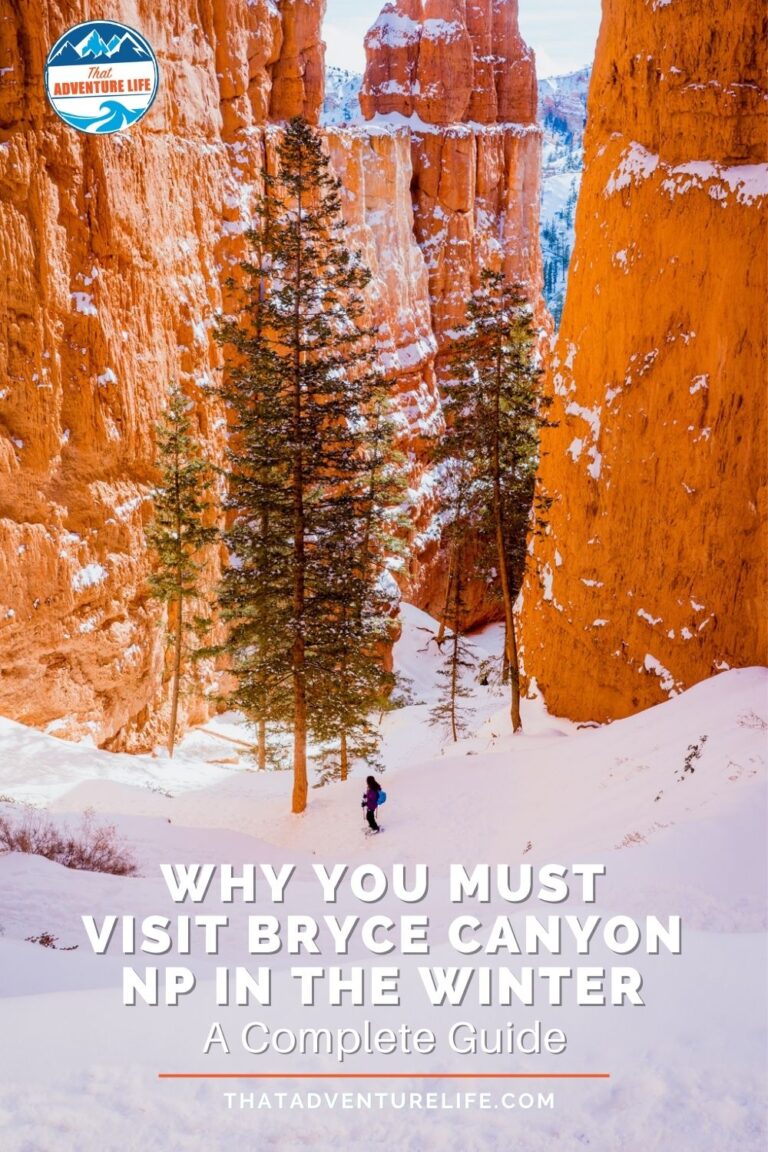 Why You Must Visit Bryce Canyon NP in the Winter: Complete Guide Pin 2