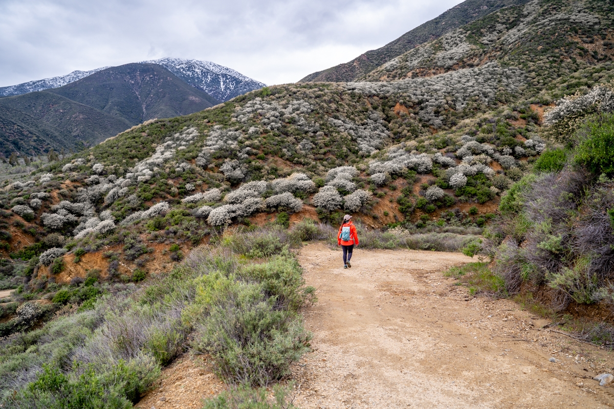 Hiking Etiwanda Falls Trail, Complete Guide| Rancho Cucamonga, CA ...