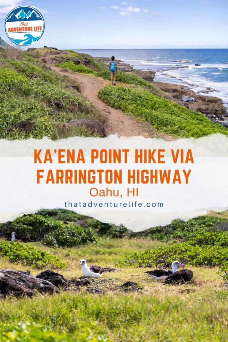 How to Hike to Kaena Point via North Shore, HI Pin 2