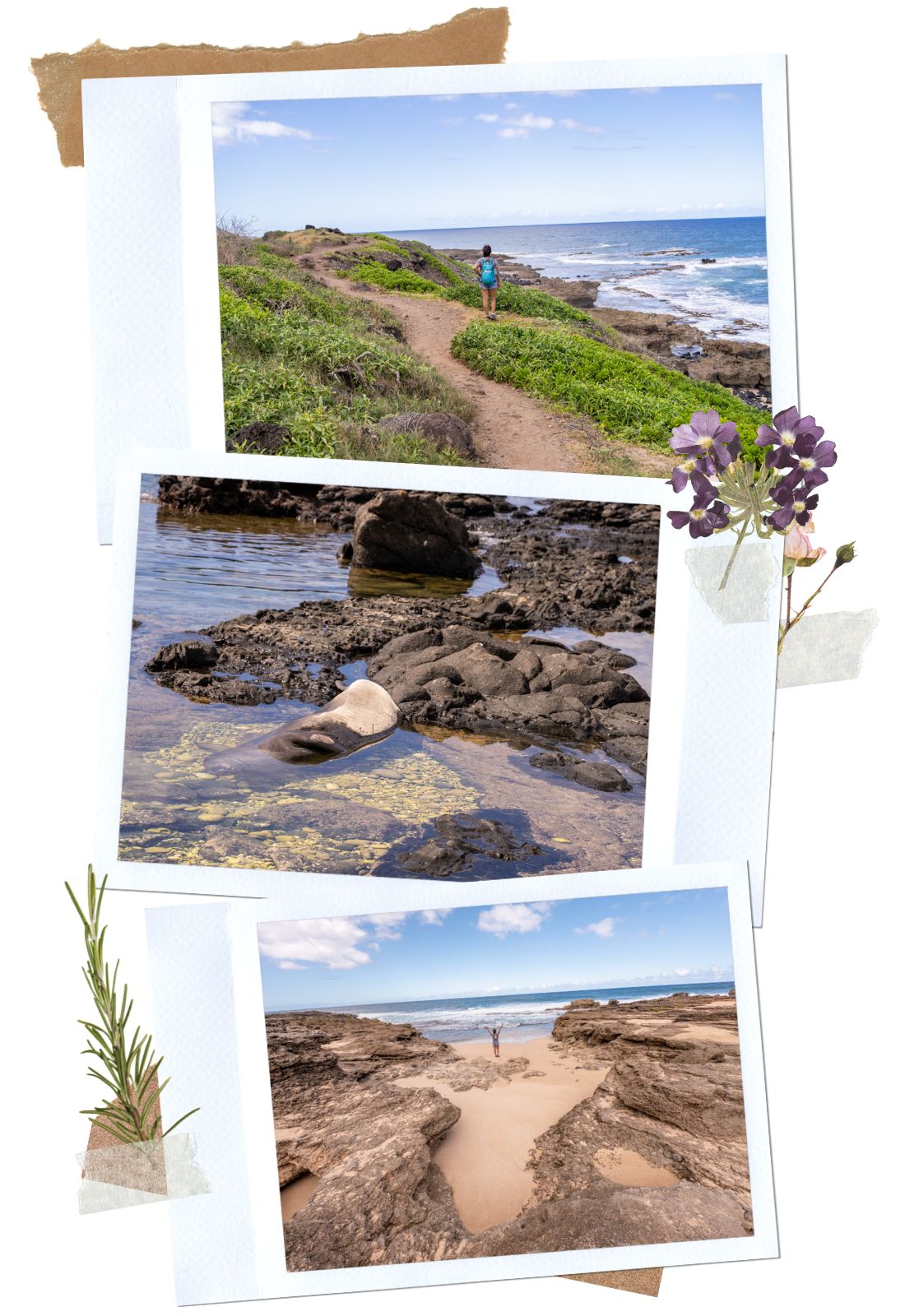 Things to do in North Shore, Oahu: Kaena Point Hike